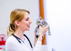 Comprehensive Pet Wellness: From Nutrition to Emotional Care